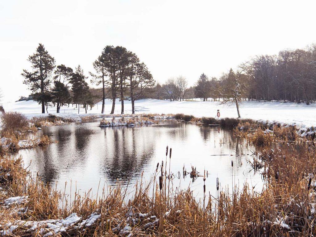 pond in snow