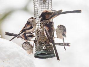 P1160060-Enhanced-NR