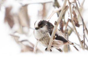 P1160078-Enhanced-NR-Edit