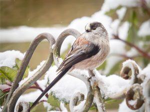 P1160098-Enhanced-NR