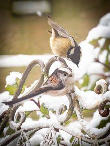 P1160108-Enhanced-NR