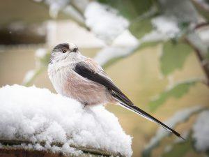 P1160112-Enhanced-NR