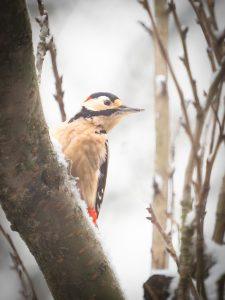 P1160182-Enhanced-NR-Edit