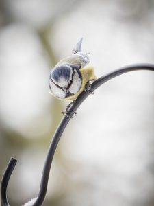 P1160200-Enhanced-NR