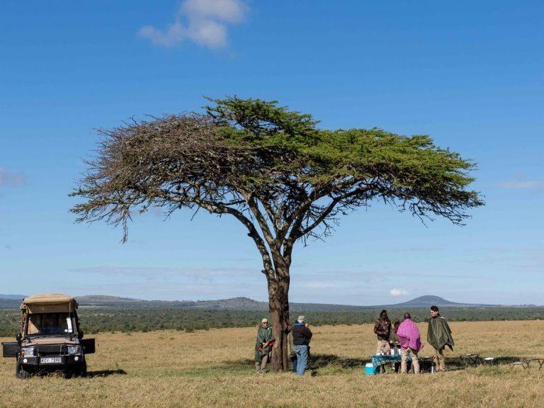 breakfast under an acacia tree